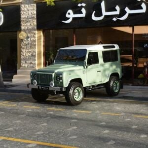 ديفندر 2011
