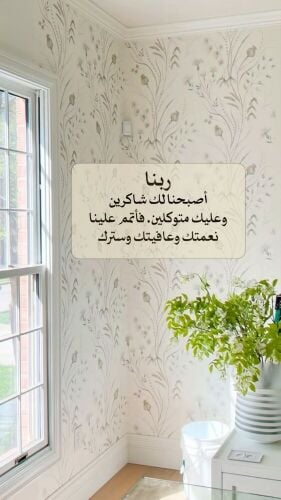 ناصر