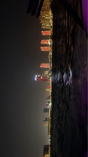 مطلوب جيرمن شيبرد او روت وايلر  