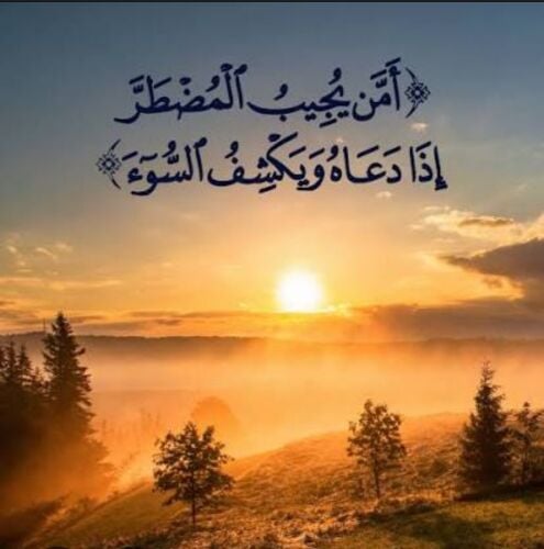 مدير شركة تنظيفات وضيافة
