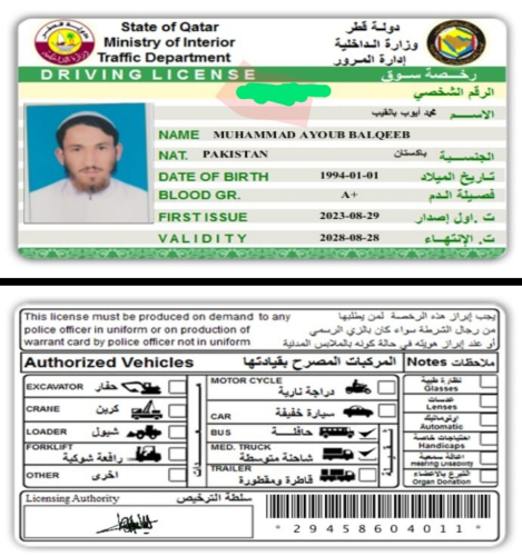 M Ayub