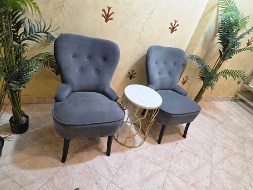 2 chair and coffee table 