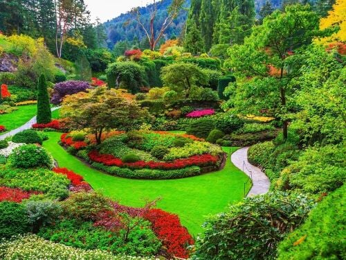 لصيانه الزراعه الخرطيات وأزغوي
