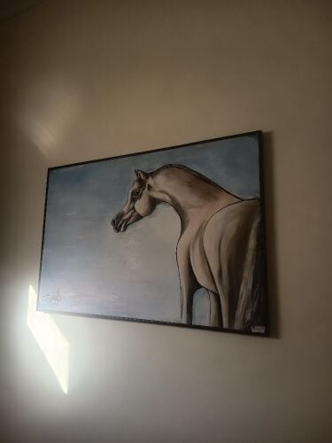للبيع رسمة