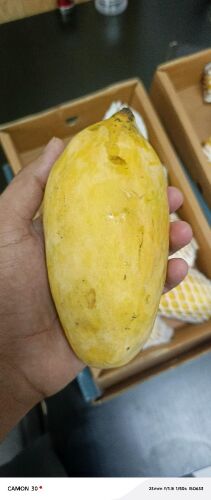 Pakistani Mangos,,,