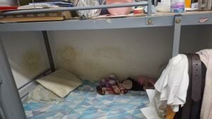 2 bed bunker for salae