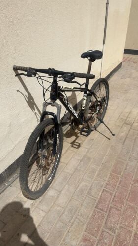 bicycle for adults