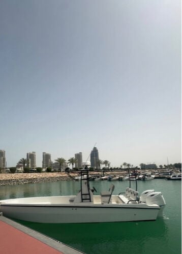 البديد ٣٠