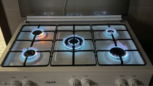 ALM Gas Cooker