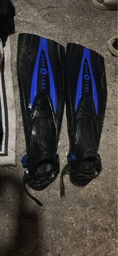 swim fin