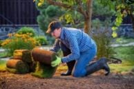Landscape Supervisor