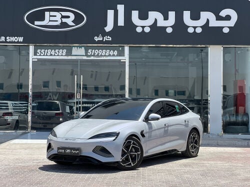 بي واي دي لونغ رينج 2025 