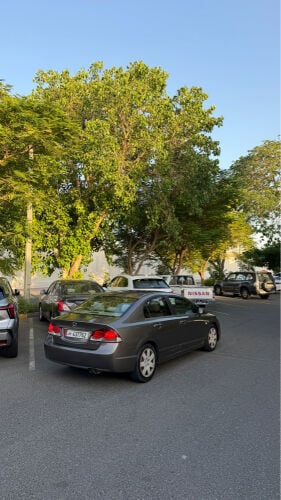 honda civic 2010
