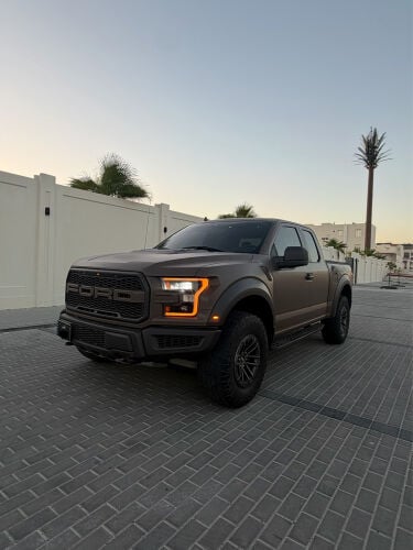 فورد رابتر 2019