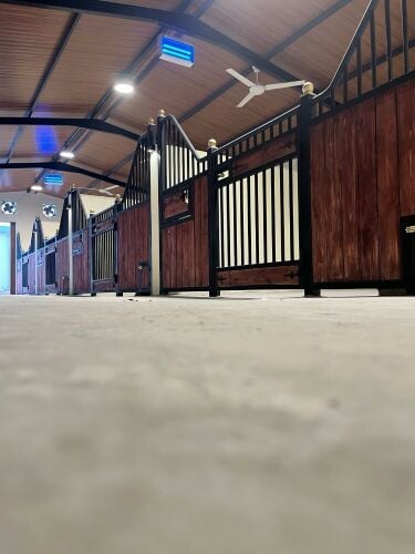 Horse stables lovers club