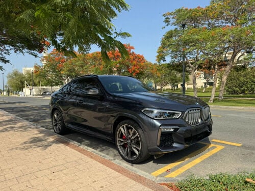 BMW X6M50i