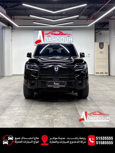 دينزا بي 8