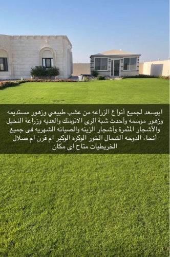 ابوسعد 