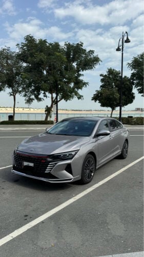Daily car rental without insurance
