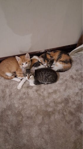 no names yet 