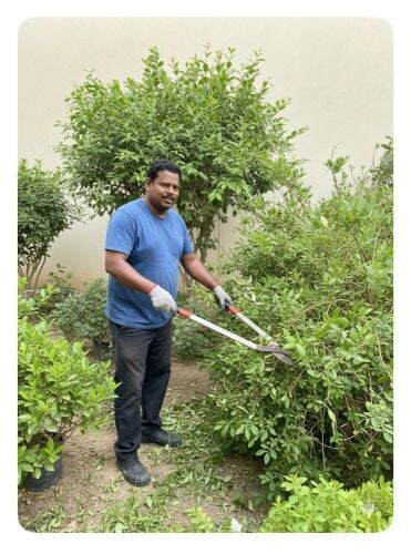 gardening