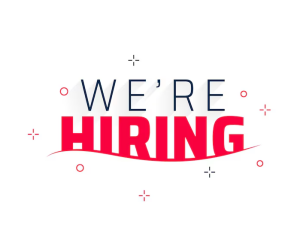 Sales Executive