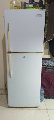 general cool medium size refrigerat