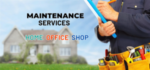 PROFESSIONAL IT SERVICES