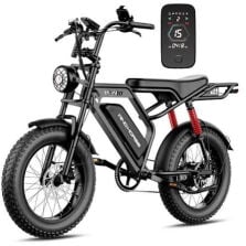 Windhorse E-bike