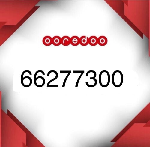 66277300