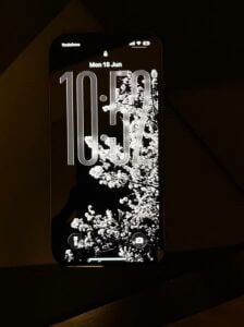 Iphone 13 pro (Sierra blue)