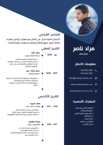 Europass format CV