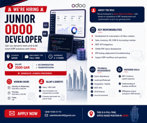 Odoo Developer