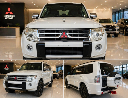 Mitsubishi 2010 Pajero