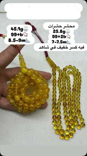 مسباحين كهرم حشري كركوش تفصال
