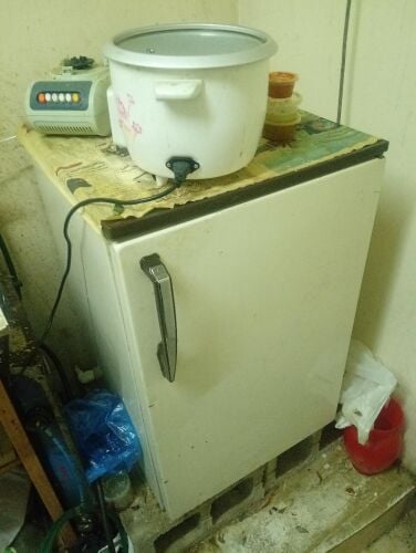 Fridge