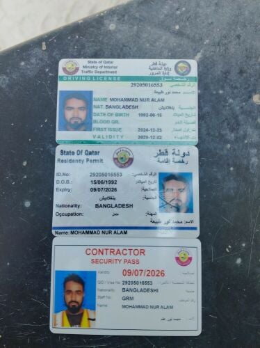 نور شفير شيول محتاج عمل