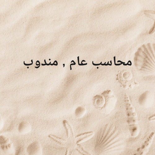 محاسب // مندوب