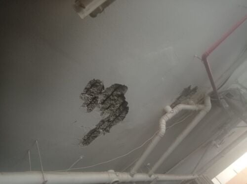 plaster maintenance work