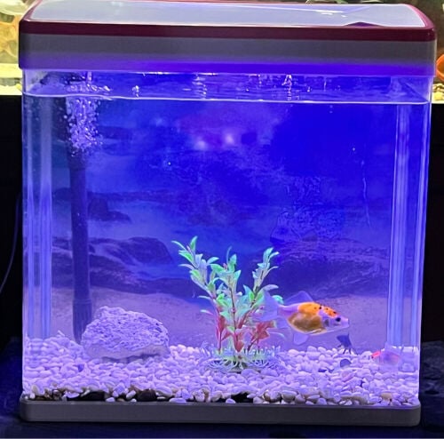 aquarium full set