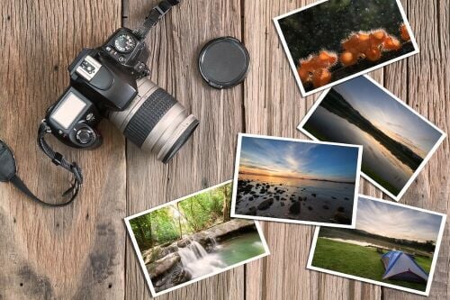 Professional Photographer