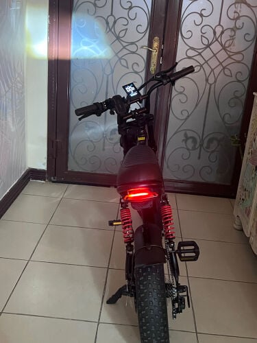 Windhorse v8 mini electric bike