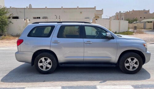 سكويا نظيفه 2014