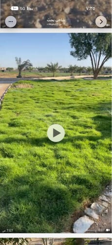 مزرعه بالقرب من مكينس