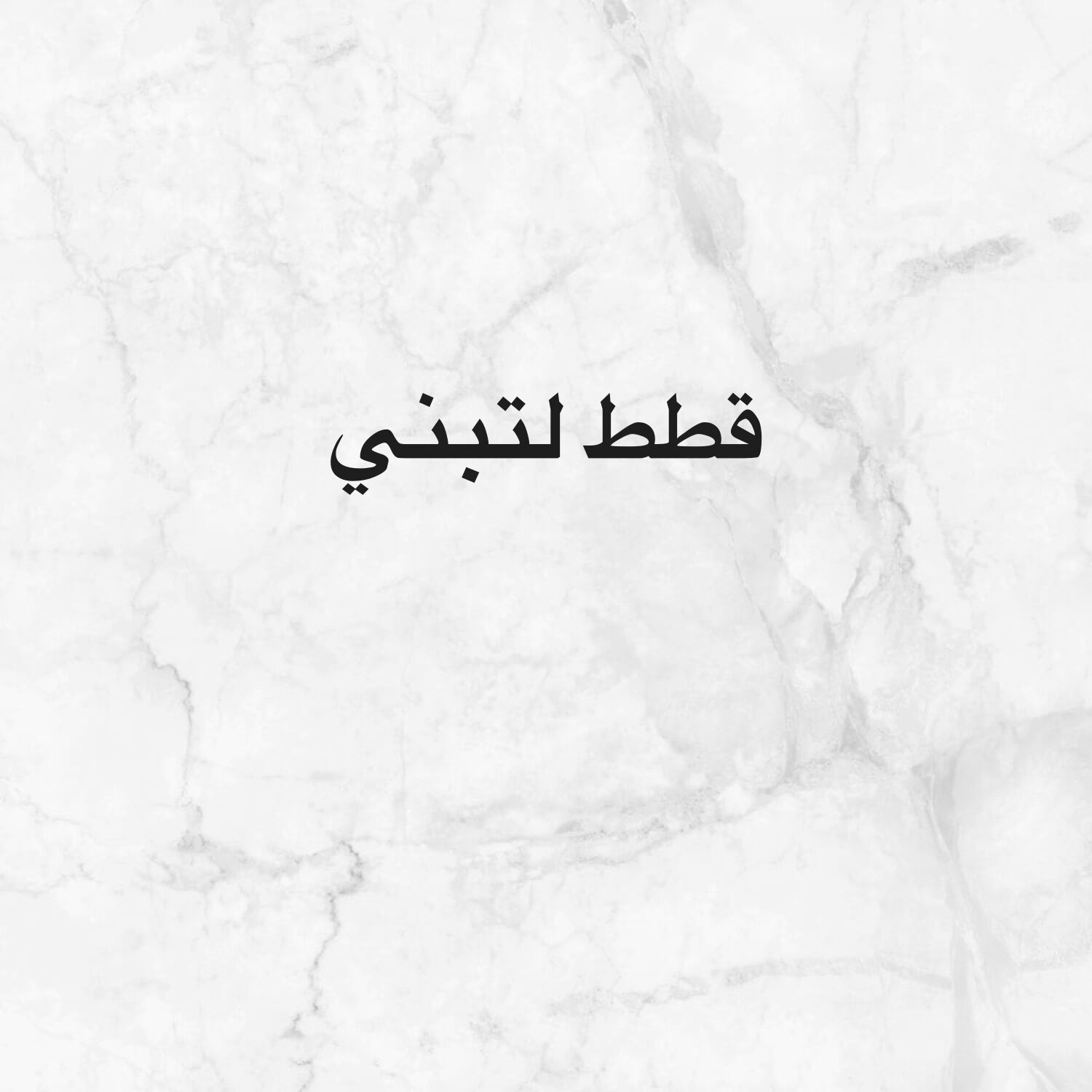 قطط للتبني 