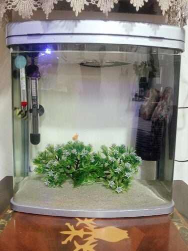 fish tank
