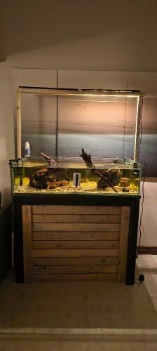 Shallow tank
