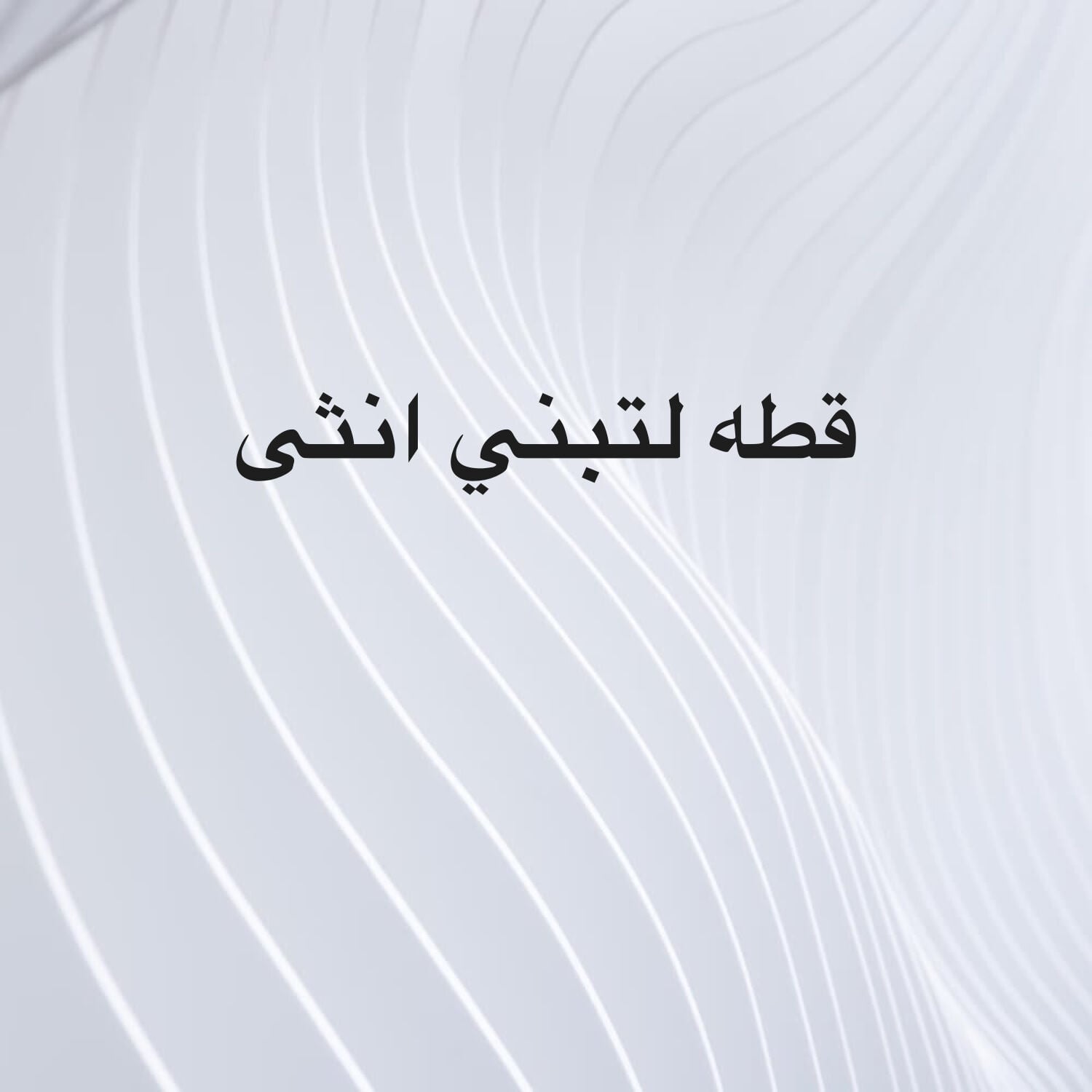 قطوه لتبني انثى مطلوب