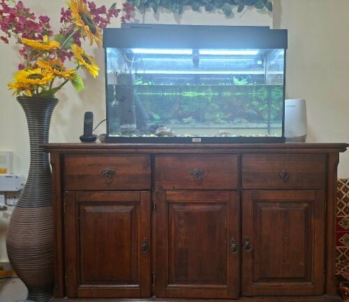Juwel Aquarium with wooden Stand