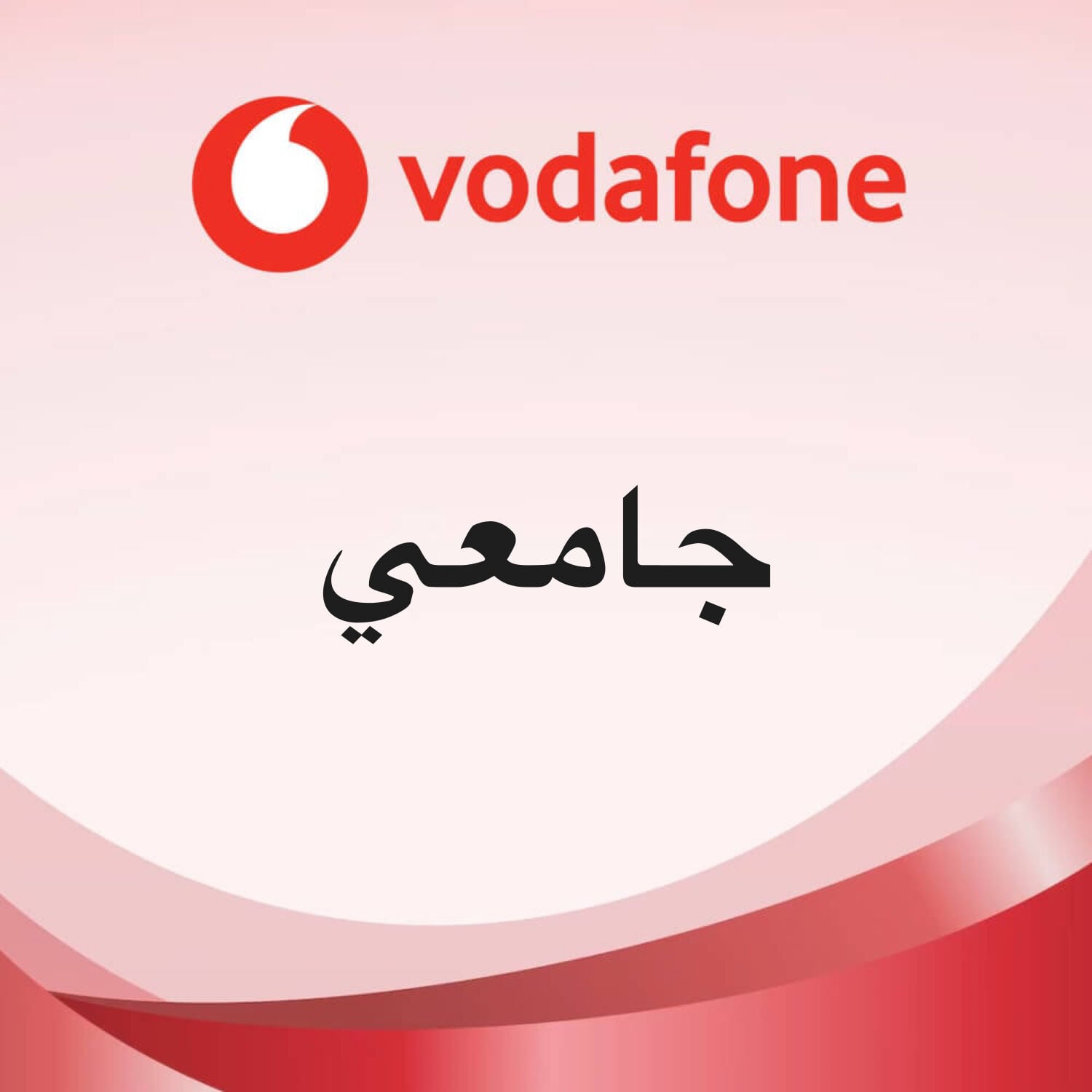 استاذ جامعي 